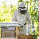 Beekeeping Tools Stainless Steel Large Heat Shield Beekeeping Apiary Beekeeper - Image 2