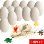 Dinosaur Egg Dig Kit - Image 6
