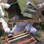 Beekeeping Tools Stainless Steel Large Heat Shield Beekeeping Apiary Beekeeper - Image 8