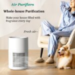 Home Air Purifiers For Large Room Medical Grade HEPA Air Purifier Smoke Odor Pet - Image 4